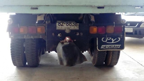 ขาย Isuzu Rocky 240 สองเพลาดั๊ม โคดท์ R  เทอร์โบ อิเตอร์ มีระบบลากพ่วง