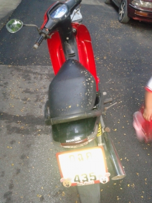 wave 100 ปี 47 ลด 11700.-