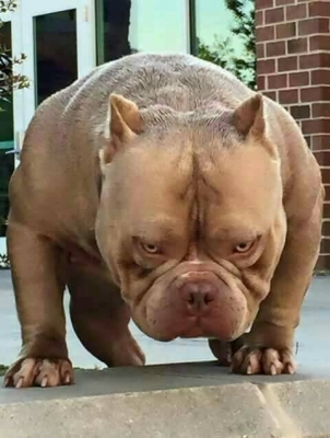 PC60-6..KOMATSU.รถใช้งานอยู่ มีบุ้งกี้ รถมีเอกสารอินวอยล์ทำสี มาร์ค8