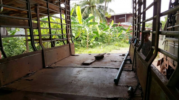 ขายครับNKR58LU5ปี35ห้างแท้เกียร์สั้นเครื่องฝิดจัดยางดี6เส้นทะบียนเต็มคัสซีนางฟ้าห้องเก๋งติดโทรมไม่ผิด ขายครับNKR58LU5ปี35ห้างแท้เกียร์สั้นเครื่องฝิดจัดยางดี6เส้นทะบียนเต็มคัสซีนางฟ้าห้องเก๋งติดโทรมไม่ผิด