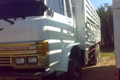 แม่พร้อมลูก ซูโม่ 227 ไม่ดั๊ม