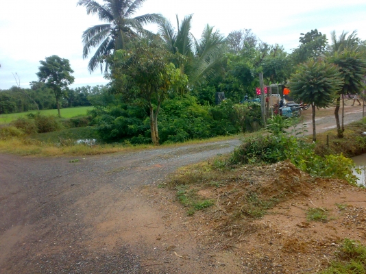 ที่ดินพร้อมโฉนด 47 ตารางวา ถมแล้ว *** ติดนัด วันที่ 18 กค. 59 ครับ