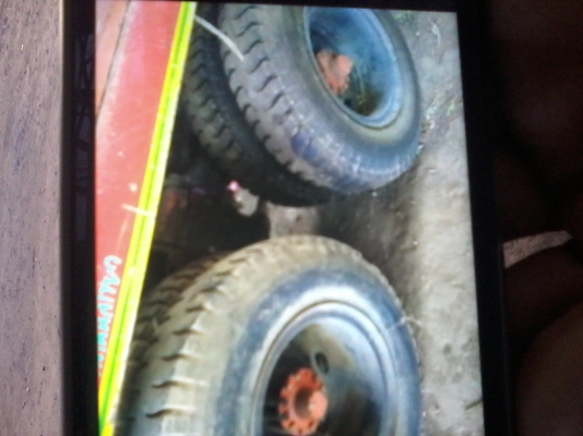 ขายหน้ายาว 0929560170