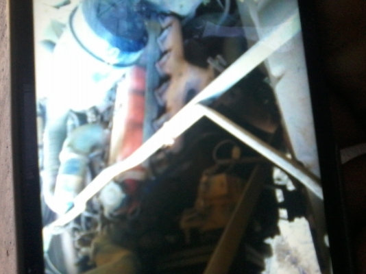 ขายหน้ายาว 0929560170