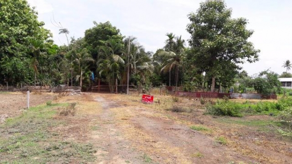 ที่ดินเปล่าที่ หนองกี่ ที่ดินเปล่าที่ หนองกี่