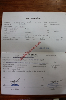 หางพื้นเรียบ PANUS