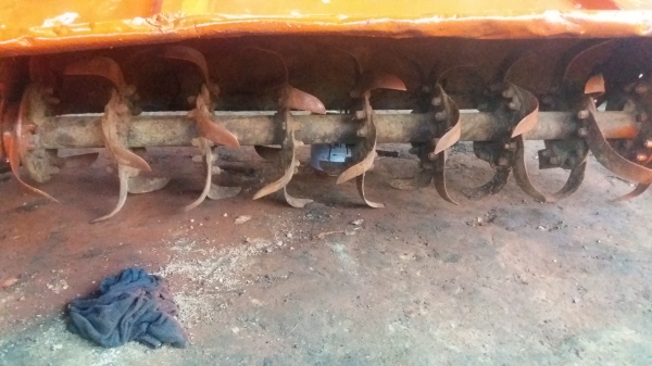 โรตรี่162 โรตรี่162