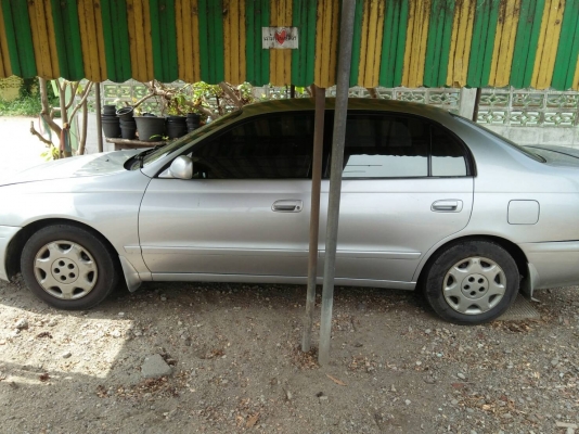 ขายท้ายโด่ง ขายท้ายโด่ง