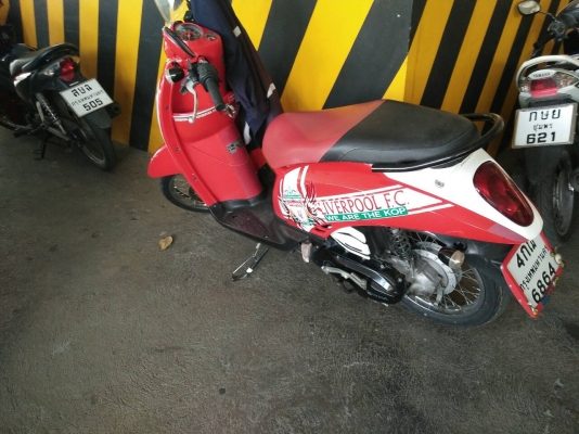 ต้องการขาย สกูบปี้ ลายหงส์แดง สำหรับสาวก สถาพดี