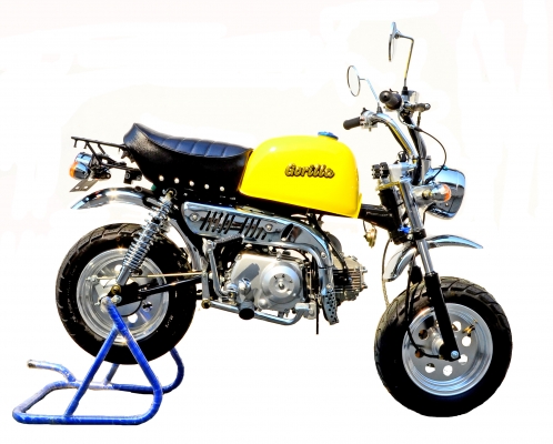 จัดโปรโมชั่น ลดราคาสุดแบบ มโหฬษร มังกี้ กอลิล่า เดิม ราคาสุดๆ เริ่มต้นเพียง 2XXXX  แต่งๆๆ ลดราคาทุกรุ่นและมีของแถมอีกมากมาย  ด่วนๆๆ ลดๆๆ   เริ่มต้นราคา ที