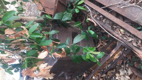 ตอกเสาเข็ม086-2582299