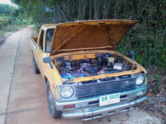 ขายม้ากระโดด