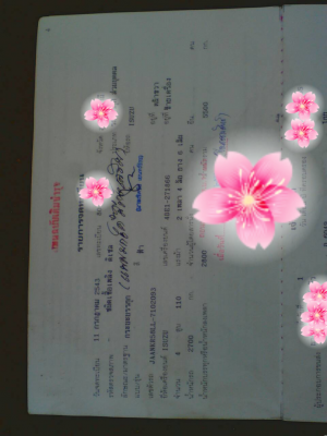 ขายรถบรรทุก 6 ล้อดัมพ์ ISUZU NKR 110 แรงม้าปี 2543 รถห้างแท้ ราคา 210000 ขายรถบรรทุก 6 ล้อดัมพ์ ISUZU NKR 110 แรงม้าปี 2543 รถห้างแท้ ราคา 210000