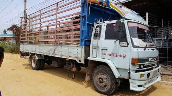 ร๊อกกี้ 175 แรง รถประกอบยาง 9 ยาว 7.70 เบรคจิฟฟี่ คัสซีสวย ราคาเบาๆครับ