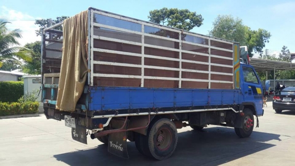 ขายรถ6ล้อ NPR 120แรง เฟืองท้ายF ภายในสวย แอร์เย็น สภาพพร้อมใช้งาน เอกสารพร้อมโอน ราคา360,000 สนใจโทร 090-8588220คุณนะ 093-3258446คุณบิว หรือเข้าดูสินค้าอื่นๆได้ที่ www.truck.in.th/498 หรือเพจFacebook ณรงค์ ซื้อขายรถมือสอง (เว็บไซต์ส่วนตัว) หรือFacebook คุ ขายรถ6ล้อ NPR 120แรง เฟืองท้ายF ภายในสวย แอร์เย็น สภาพพร้อมใช้งาน เอกสารพร้อมโอน ราคา360,000 สนใจโทร 090-8588220คุณนะ 093-3258446คุณบิว หรือเข้าดูสินค้าอื่นๆได้ที่ www.truck.in.th/498 หรือเพจFacebook ณรงค์ ซื้อขายรถมือสอง (เว็บไซต์ส่วนตัว) หรือFacebook คุ