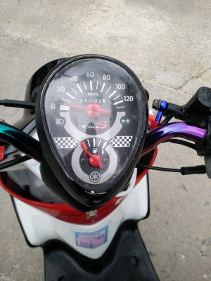 ขายฟีโน่