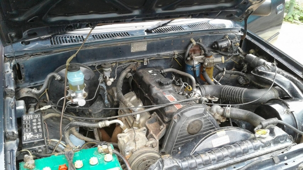 ไมตี้สวย