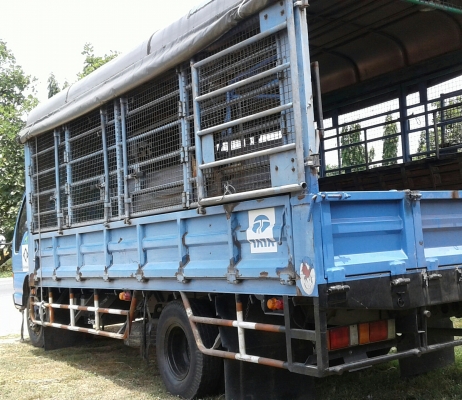 หกล้อ อีซูชุ NQR140ปี46 มีหลังคาเบาะครบ รับสั่ง-พนักงาน-นักเรียน ช่วงยาว5.50ม สภาพดีพร้อม หัวบางเดิมสวยพายในครบ พร้อมใช้งาน ทะเบียนพร้อมโอน