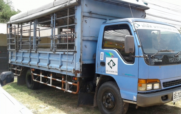 หกล้อ อีซูชุ NQR140ปี46 มีหลังคาเบาะครบ รับสั่ง-พนักงาน-นักเรียน ช่วงยาว5.50ม สภาพดีพร้อม หัวบางเดิมสวยพายในครบ พร้อมใช้งาน ทะเบียนพร้อมโอน