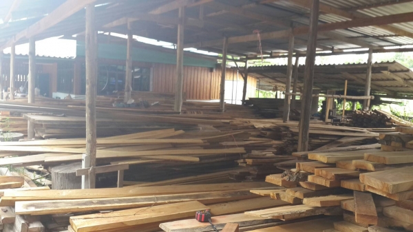 ขายด่วนถูกมาก ไม้พื้น วงกบไม้ประดู่หน้า4-10นิ้ว