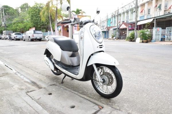 Scoopy i 2013 รถบ้านแท้ สภาพเดิม เล่มชุดโอนครบ ภาษีพรบ60