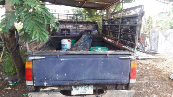 ขายเหมา แม็คโครเล็ก แยกซื้อได้