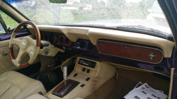 ขออนุญาติขายอะไหล่ภายใน mustang 65 ตามรายการ

1.เบาะคู่หน้า(ไม่เดิม) หุ้มหนังสีครีม ปรับไฟฟ้าได้ 5500
2. เบาะหลัง mustang 65 coupe ของเดิม หุ้มหนังสีครีม 8500 บาท หนังยังอยู่ในสภาพดี
3. หุ้มเพดาน สีครีม 2500
4. แผงประตูหุ้มหนังเทียมสีครีม คู่ละ 4500 ไม่รว