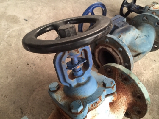 รวมมิตรวาล์วผีเสื้อ เหล็กเหนียว หน้าแปลน ท่อขนาด 8" วาล์ว 2.5" เชีวาล์ว 8"