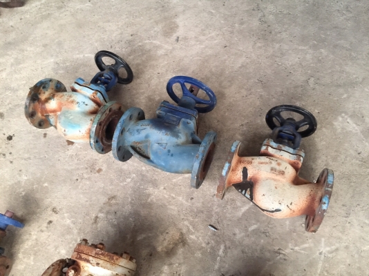 รวมมิตรวาล์วผีเสื้อ เหล็กเหนียว หน้าแปลน ท่อขนาด 8" วาล์ว 2.5" เชีวาล์ว 8"