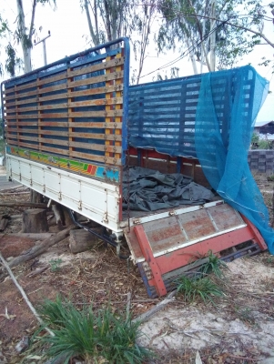 ขายกระบะ.พร้อมคอกไม้สวยๆ