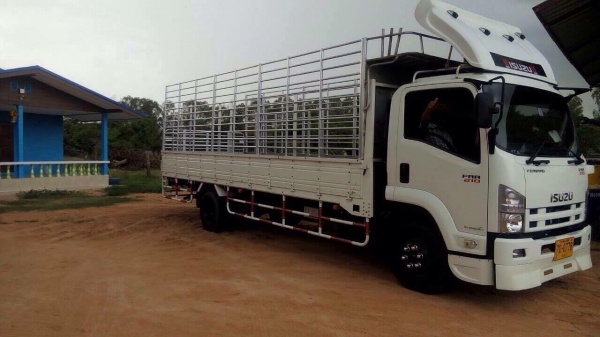 ขายด่วน ISUZU FRR210 ยาว6.50 ปี55 รถสวยใช้งานได้เลย100\%