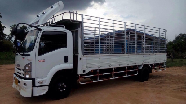 ขายด่วน ISUZU FRR210 ยาว6.50 ปี55 รถสวยใช้งานได้เลย100\%