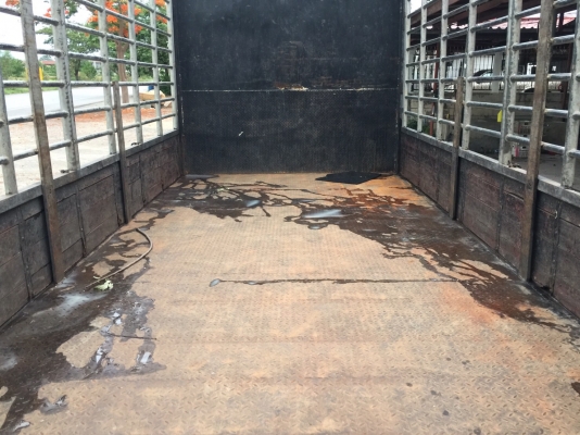 ขายMega165แรง6เกียร์ ยูโร2จดปี48กระบะเหล็กพร้อมคอกอย่างดียาว5.70เมตร ขายMega165แรง6เกียร์ ยูโร2จดปี48กระบะเหล็กพร้อมคอกอย่างดียาว5.70เมตร