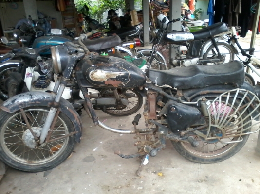 ขาย เอนฟิว โคลง