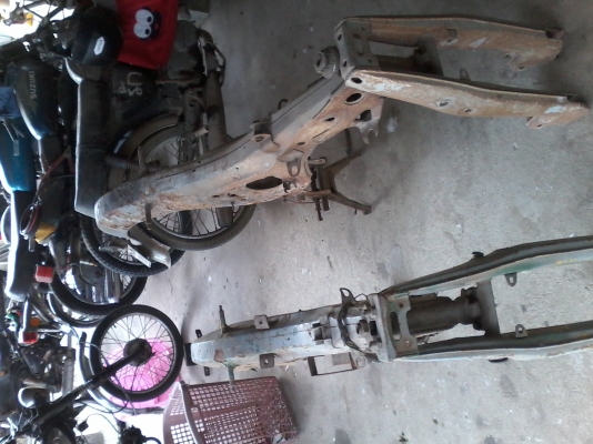 ขายโคลงฮอนด้าหมู