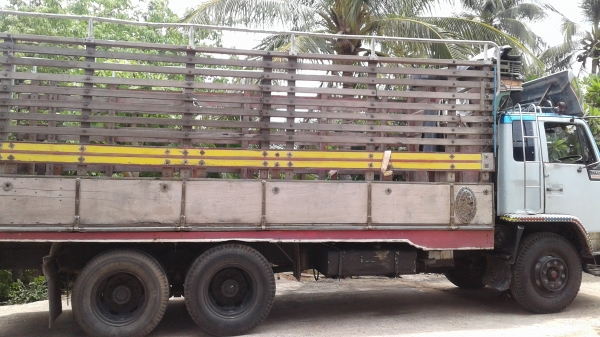 ขายรถสิบล้อ เพลาเดียว ร็อคกี้175 FVM สนใจติดต่อ0896252299 ต้น