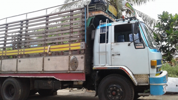 ขายรถสิบล้อ เพลาเดียว ร็อคกี้175 FVM สนใจติดต่อ0896252299 ต้น