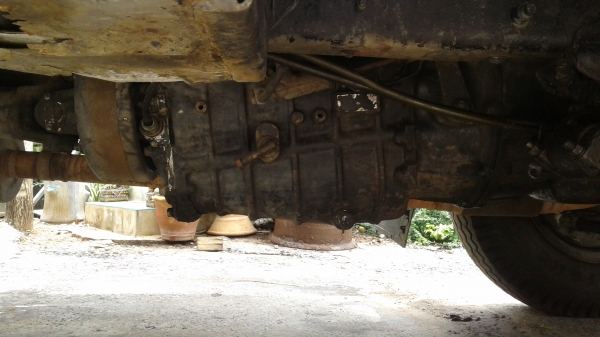 ขายรถสิบล้อ เพลาเดียว ร็อคกี้175 FVM สนใจติดต่อ0896252299 ต้น