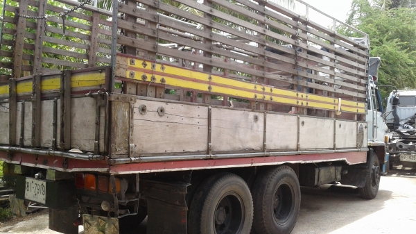 ขายรถสิบล้อ เพลาเดียว ร็อคกี้175 FVM สนใจติดต่อ0896252299 ต้น