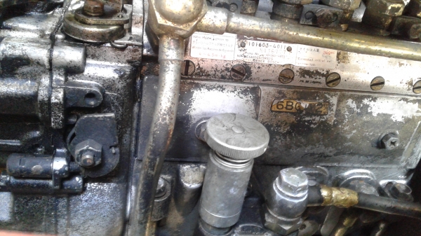 ขายรถสิบล้อ เพลาเดียว ร็อคกี้175 FVM สนใจติดต่อ0896252299 ต้น