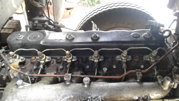 ขายรถสิบล้อ เพลาเดียว ร็อคกี้175 FVM สนใจติดต่อ0896252299 ต้น