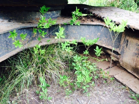 รถแบคโฮ HYUNDAI เลขไมล์ 7,700 ชั่วโมง รถสภาพใหม่ ราคาต่อรองได้.