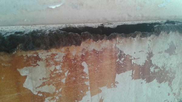 ขายหางพ่วง  สามมิต  2  เพลา.  ปี 49.    สนใจติดต่อ  081 - 6079515