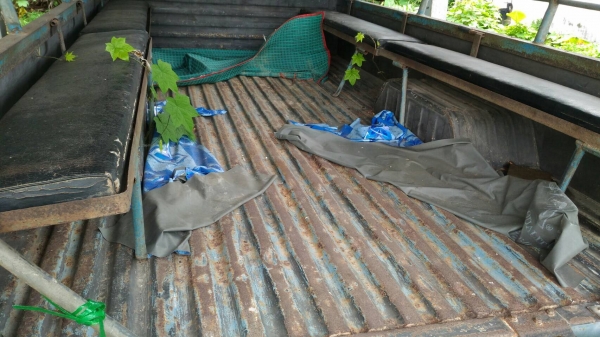 รถอีซูซุ 4 ล้อ NKR 88 แรงม้า. ปี 38.     สนใจติดต่อ  081 - 6079515