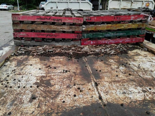 ขายหางพื้นเรียบ 3 คานแท้ๆของอู่ เอสที ST ปี 51 หางสวย สีลายสวย