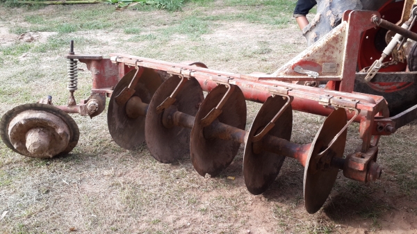 ตราช้าง 5x24นิ้วครับ