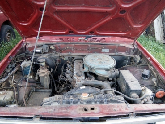 ขายเเล้ว