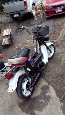 ขายชาลีเดิม