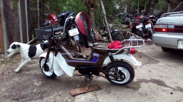 ขายชาลีเดิม หลุดจอง