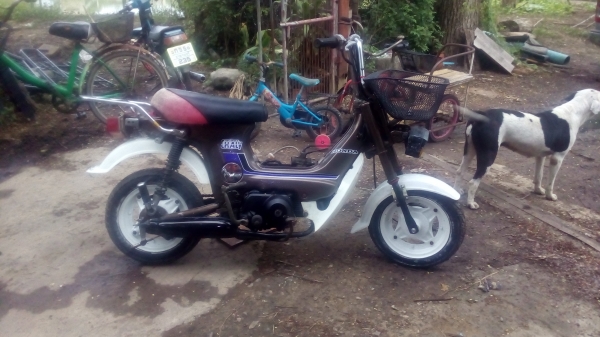 ขายชาลีเดิม หลุดจอง